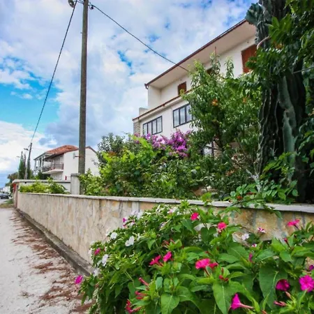 Zana Apartament *